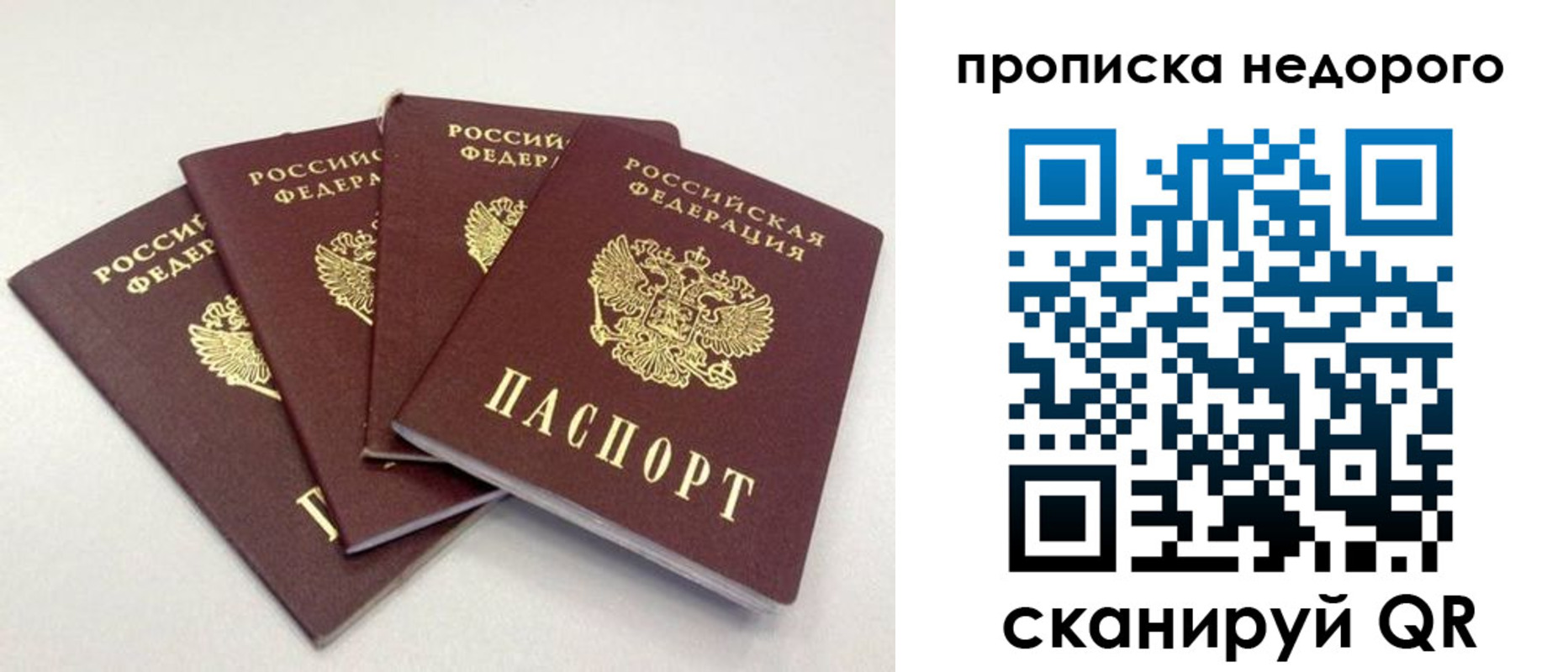 прописка законно в Ивантеевке